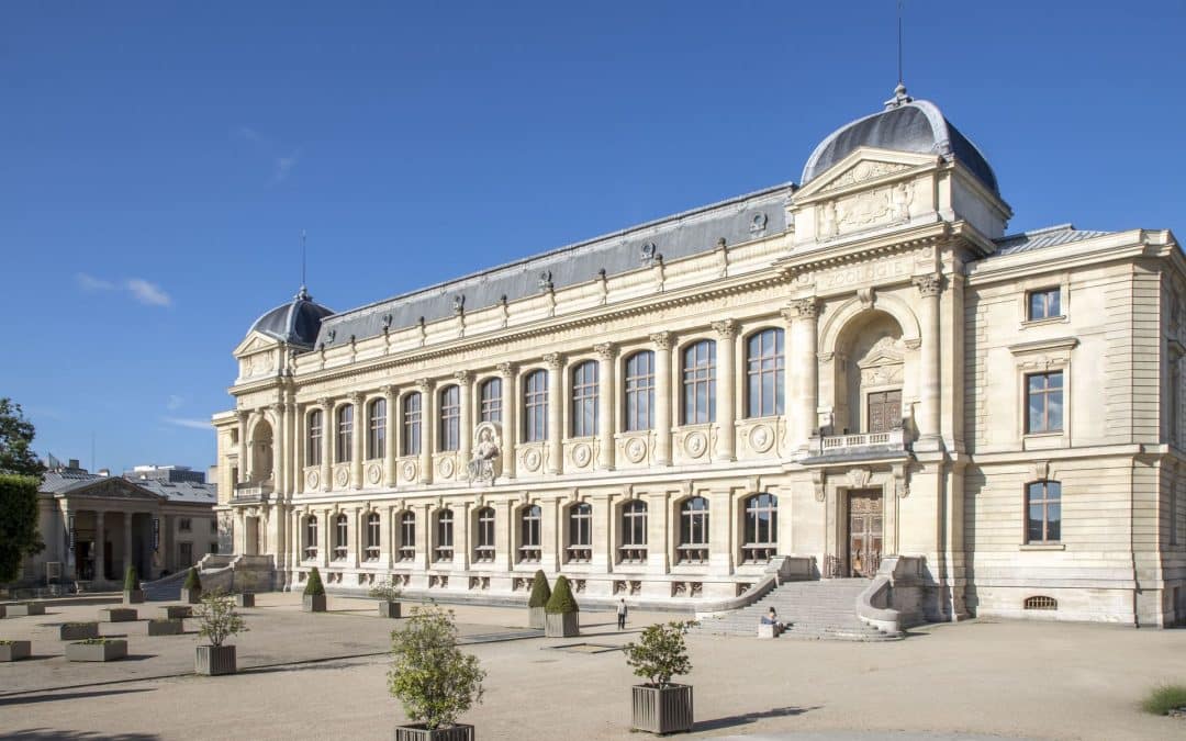 Musée d’Histoire Naturelle